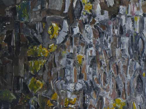 008 – Rinde I